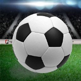270202:COM-WWW:270202:COM